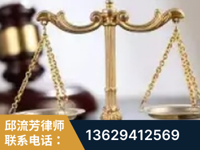 平顶山-委托诉讼代理人出庭